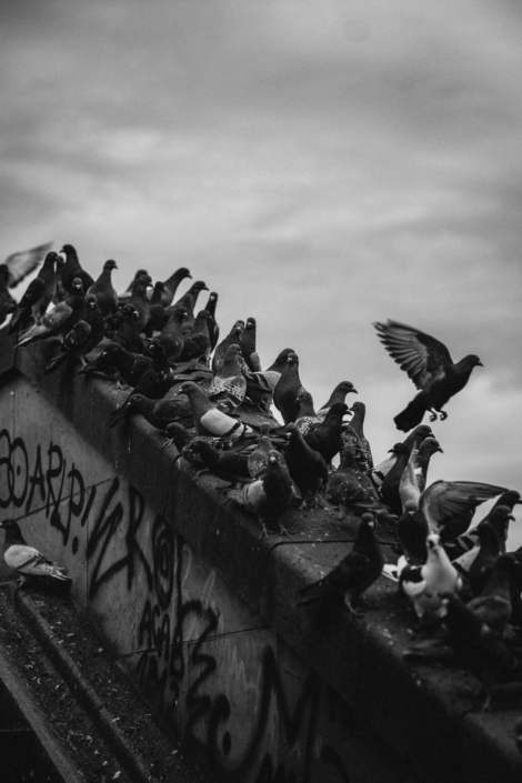 RSP_Mannheim_Webformat (10 von 12)