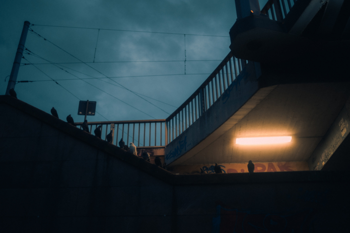 RSP_Mannheim_Webformat (2 von 12)