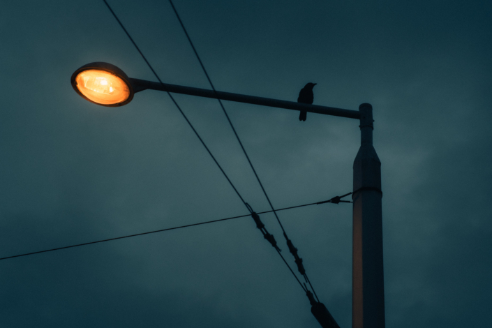 RSP_Mannheim_Webformat (4 von 12)