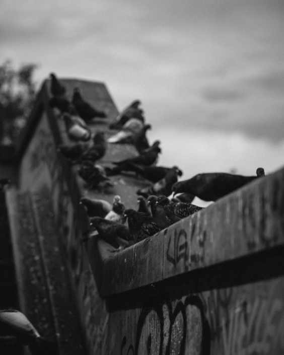 RSP_Mannheim_Webformat (5 von 12)