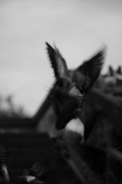 RSP_Mannheim_Webformat (7 von 12)