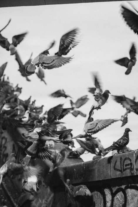 RSP_Mannheim_Webformat (8 von 12)