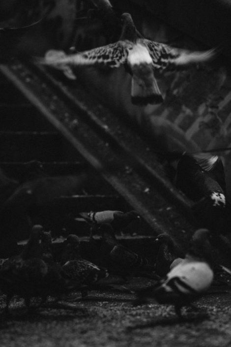 RSP_Mannheim_Webformat (9 von 12)